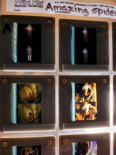 THE AMAZING SPIDER MAN 35 MM MOVIE CELLS SET OF 40 MOUNTED 2011 W/ BINDER - Picture 7 of 12