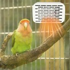Bild 5 von 11