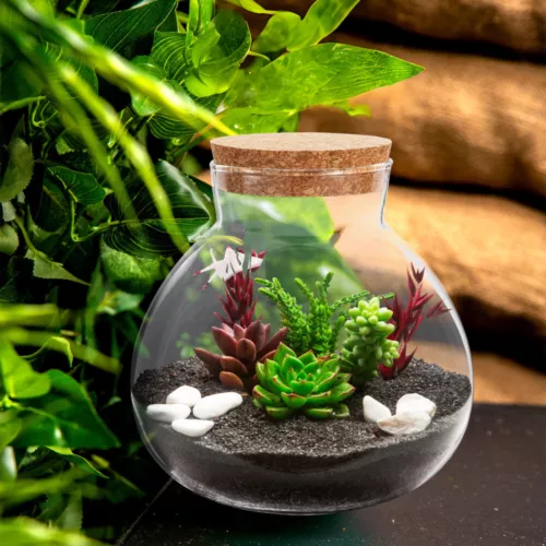 Empty Glass Jar Glass Bottle Diy Micro-landscape Bottle Ecological Bottle - Picture 7 of 11