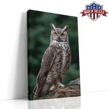 Eyes of the Silent Sentinel Wall Art, Canvas Print Home Decor, Wall Decor Poster