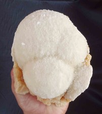 SUPERB SCOLECITE BALLS ON STILBITE BASE # 1784