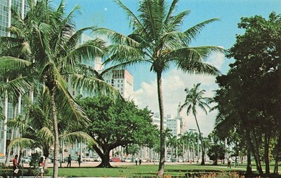 Miami Bayfront Park Biscayne Blvd Palm Trees Skyline Florida Vtg Postcard J58
