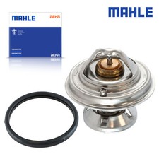Thermostat Mercedes 210