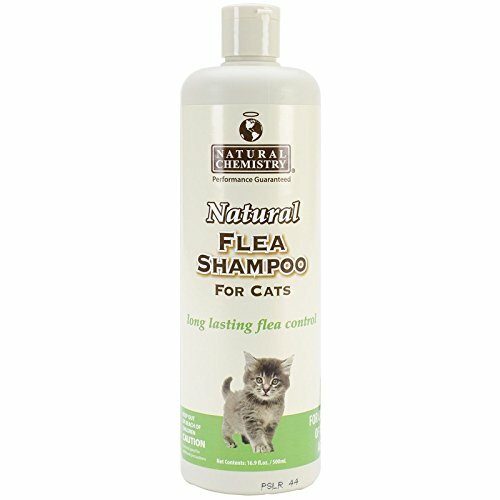 homemade flea shampoo for cats