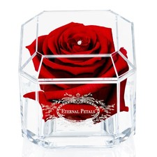 100% Real Rose That Lasts Years - Eternal Petals, Handmade in UK, Flowers