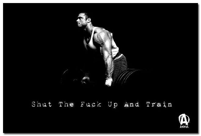 80544 Shut Up And Train Motivational Office Wall Print Poster US