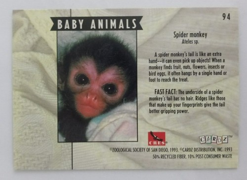 1993 CARDz San Diego Zoo Trading Cards (Pick Your Card) - Picture 189 of 221