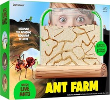 Dan Darci Ant Farm Kit for Kids - Farms Colony - Includes Ants Voucher - Sand Ha