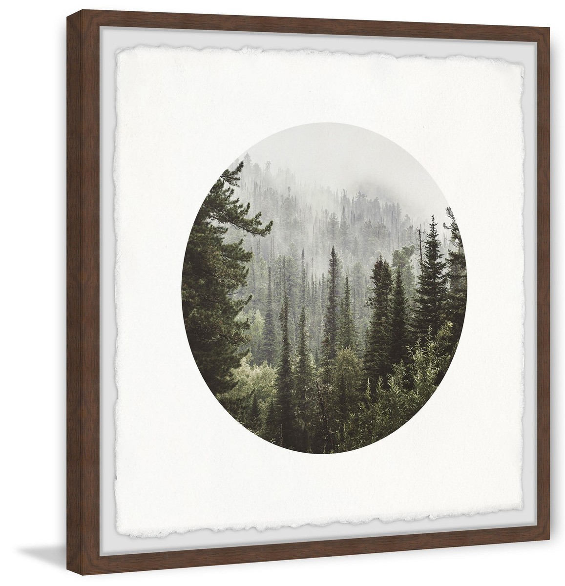 Marmont Hill Forest of Pines Framed Painting Print 12