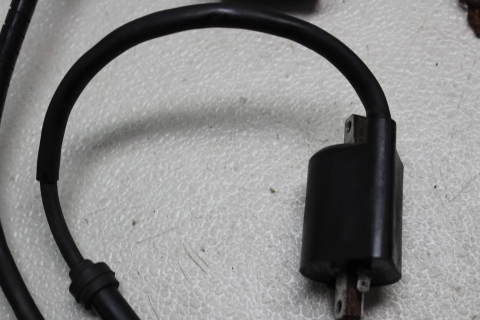 Yamaha V Star 650 XVS650A 1998-2010 clásico motor principal arnés de cableado motor Foto 4 de 4