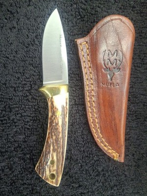 New Muela Colibri Beautiful Stag Fixed Blade Hunting Knife