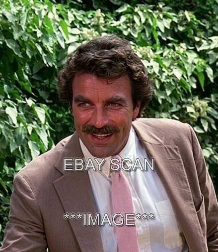 TOM SELLECK   MAGNUM P.I    8X10 PHOTO 406