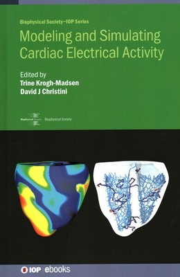Modeling And Simulating Cardiac Electrical Activity, Like New Used, Free ship...