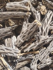 20 Lbs Cholla Wood Pieces, Halves, Splits, Chunks Shrimp Invertebrates