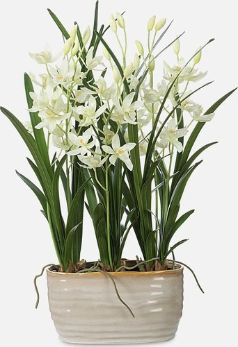 Uttermost 60227 Ariana Orchid 24-3/8" Tall Ceramic Faux Flora - Off White - Picture 5 of 5