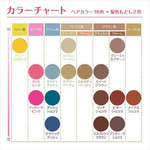 Hoyu Beautylabo Whip Hair Color Foam Type Ash Chocolat Ebay