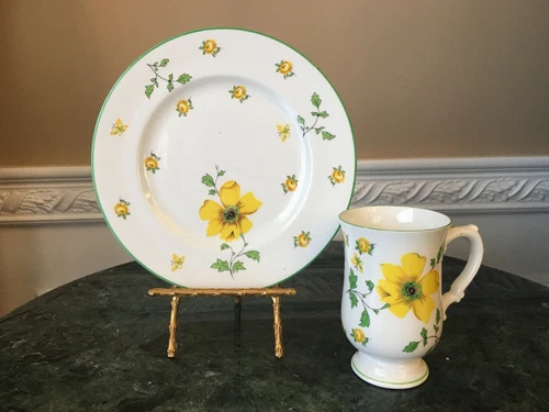 Royal Victoria Fine Bone China Yellow Dogwood Flowers Coffee Cup and Plate