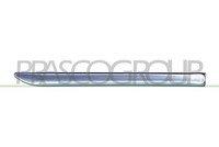 Prasco Zier-/Schutzleiste, KotflüGel Rechts, Vorne FüR MERCEDES-BENZ