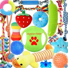 25 Pack Dog Toys for Fun & Dental Care, Squeaky Plush, Balls & Rope Toys