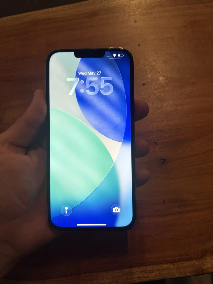 Apple iPhone 13 Pro Max 1TB for Sale | Shop New & Used Cell Phones
