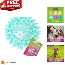 2.5" Spiky Squeaker Ball for Small Dogs - Durable & Dental Wellness Joy!
