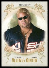 2021 Topps Heritage WWE Allen & Ginter #AG-17 Rikishi wrestling card