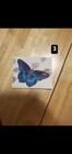 Bild 3 von 8