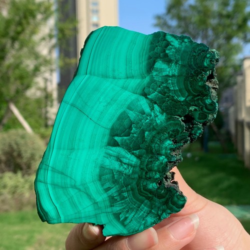 335G Malaquita Natural Brillante Transparente Racimo Muestra Mineral Áspero - Imagen 6 de 19