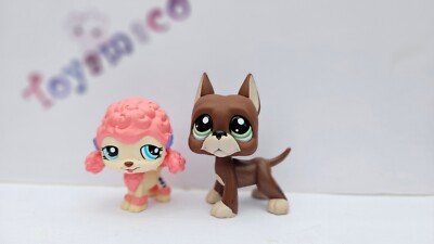 Figurine Pet Shop - Chien Caniche - N°1520 - Occasion