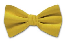 Men's Solid Satin Self Tie Bowtie- NWT
