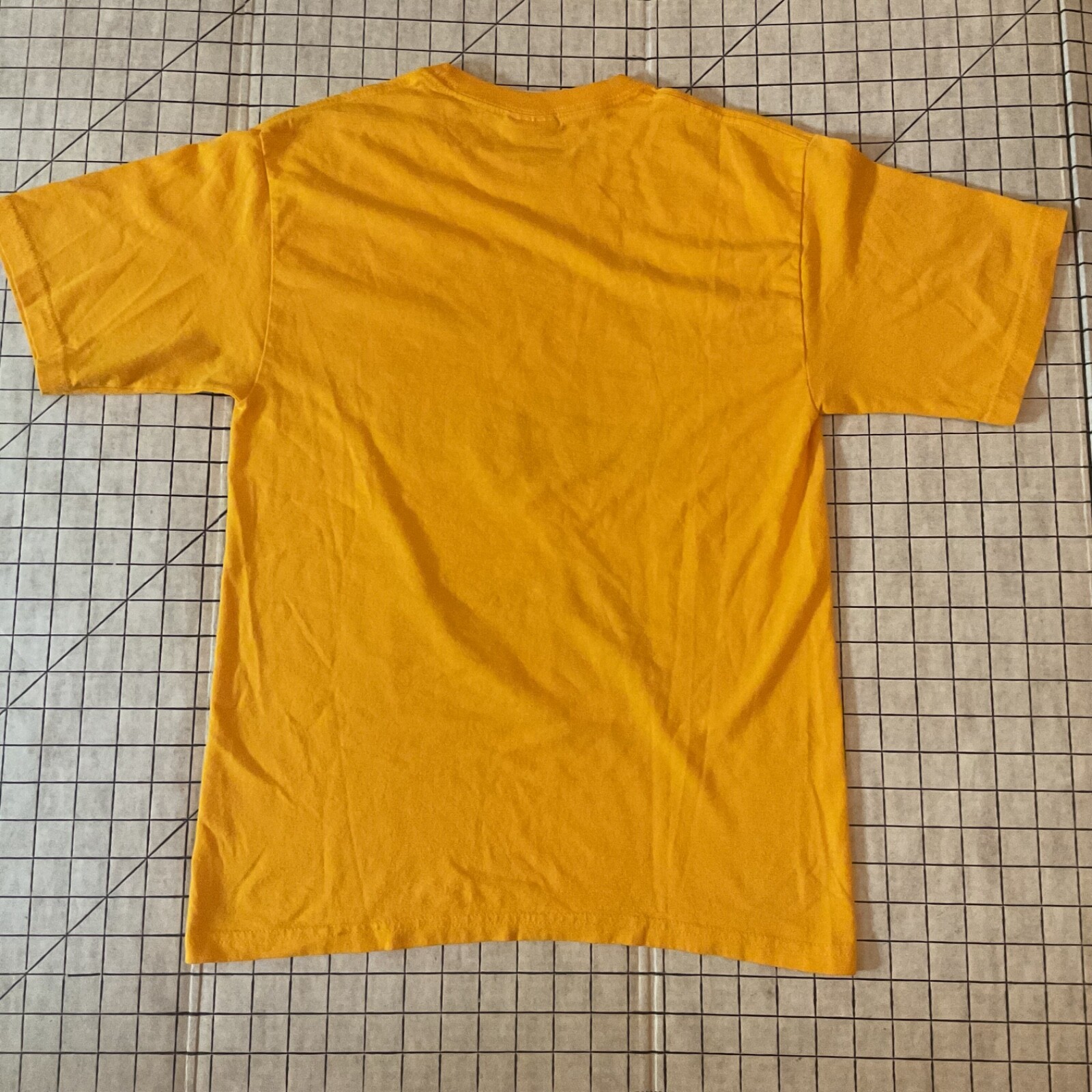 Picture 10 of 10