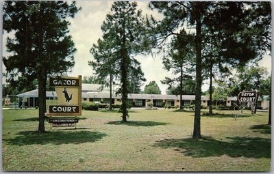 Vintage 1950s GAINESVILLE, Florida Postcard GATOR COURT MOTEL Roadside / Unused