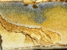 Scenic Chicken Track Jasper Slab, Lot#893