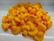 25 Rubber Ducks