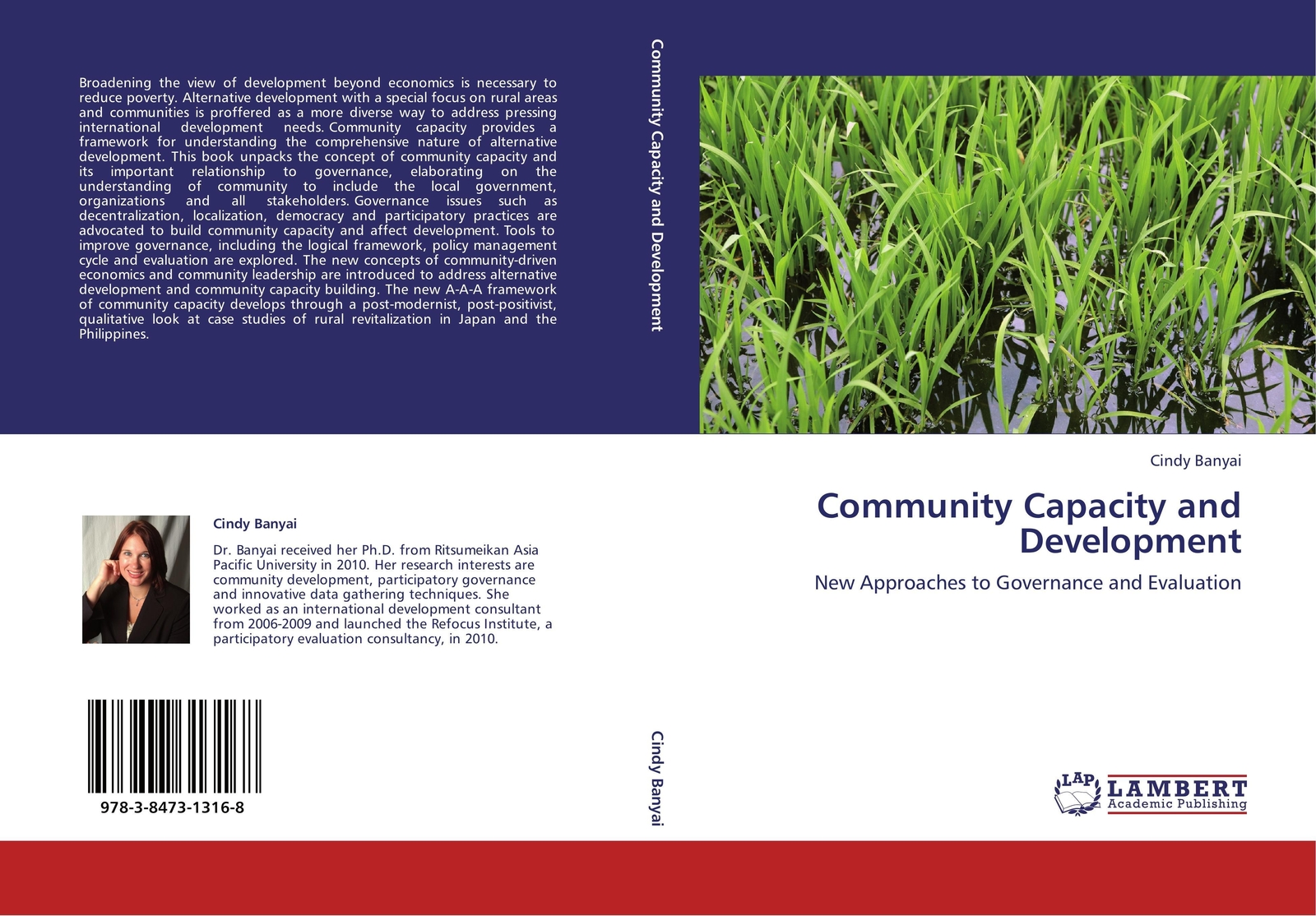 Thumbnail - Cindy Banyai | Community Capacity And Development | Taschenbuch |