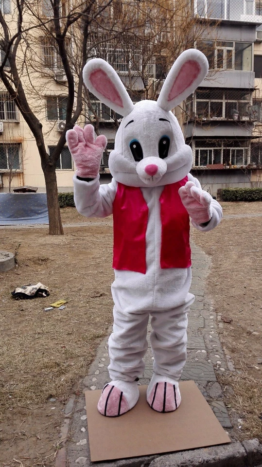 Disfraz de Conejo Mascota Traje Juegos con disfraces Fiesta Juego Vestido Conjunto Publicidad Halloween Foto 3 de 3