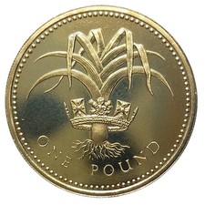 1990 Proof One Pound Wales Leek £1 Coin Royal Diadem Elizabeth II