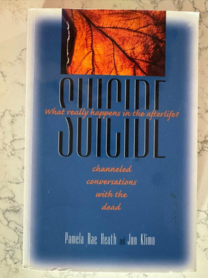 SUICIDE ~ WHAT REALLY HAPPENS IN THE AFTERLIFE? Conversations w/ the Dead Heath