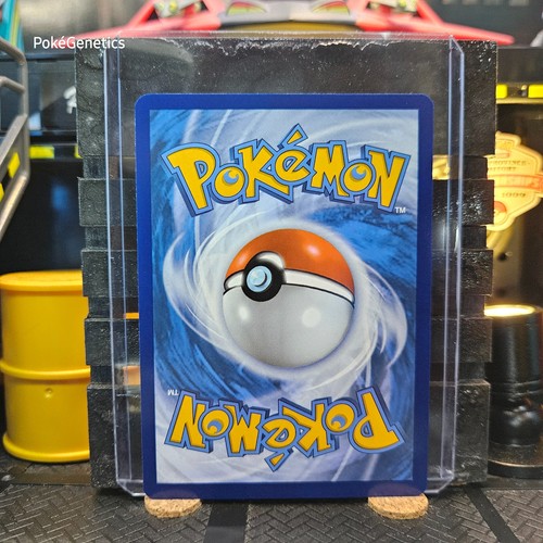 Furfrou Shrouded Fable Pokémon TCG 051/064 Common - Picture 5 of 6