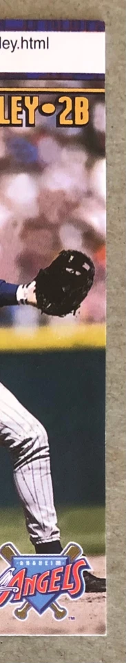 1998 Pacific Online - Web Cards - Craig Shipley - #23 - Anaheim Angels - NrMt - Image 3 of 4