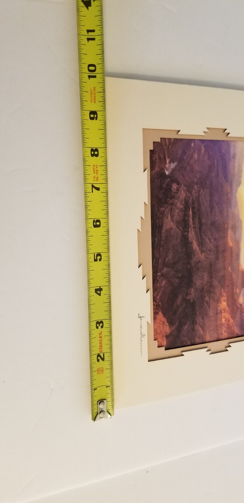 Picture 9 of 10