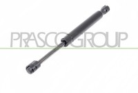 Gasfeder DäMpfer Heckklappe 1180N Beidseitig FüR Alfa Romeo 159 Sportwagon 939