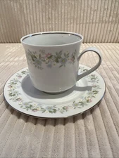 Johann Haviland Bavaria Germany Forever Spring Coffee Tea Cup and Saucer Set