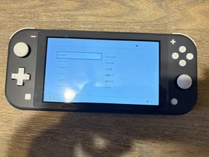 Switch Lite Grey | eBay