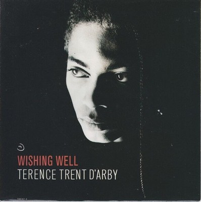 Terence Trent D'Arby - Wishing Well (VINYL)