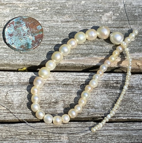 antique victorian natural basra pearl beads (150 years old)