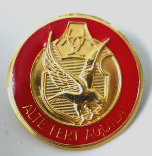 SOUTH AFRICA AFRIKAANER RESISTANCE MOVEMENT AWB AQUILA BODYGUARD EAGLE CAP BADGE
