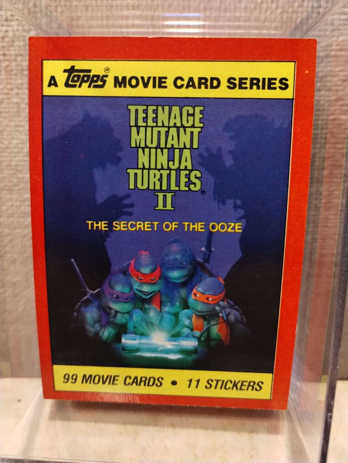 Teenage Mutant Ninja Turtles Trading Card Sets, Complete w/ Stickers ...