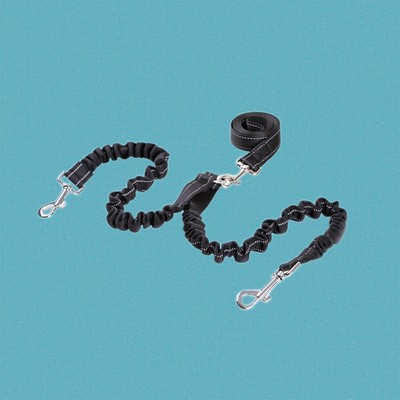  Nylon Dicephalous Dog Training Leine Heavy Duty Durable Buffer Walking Lead für