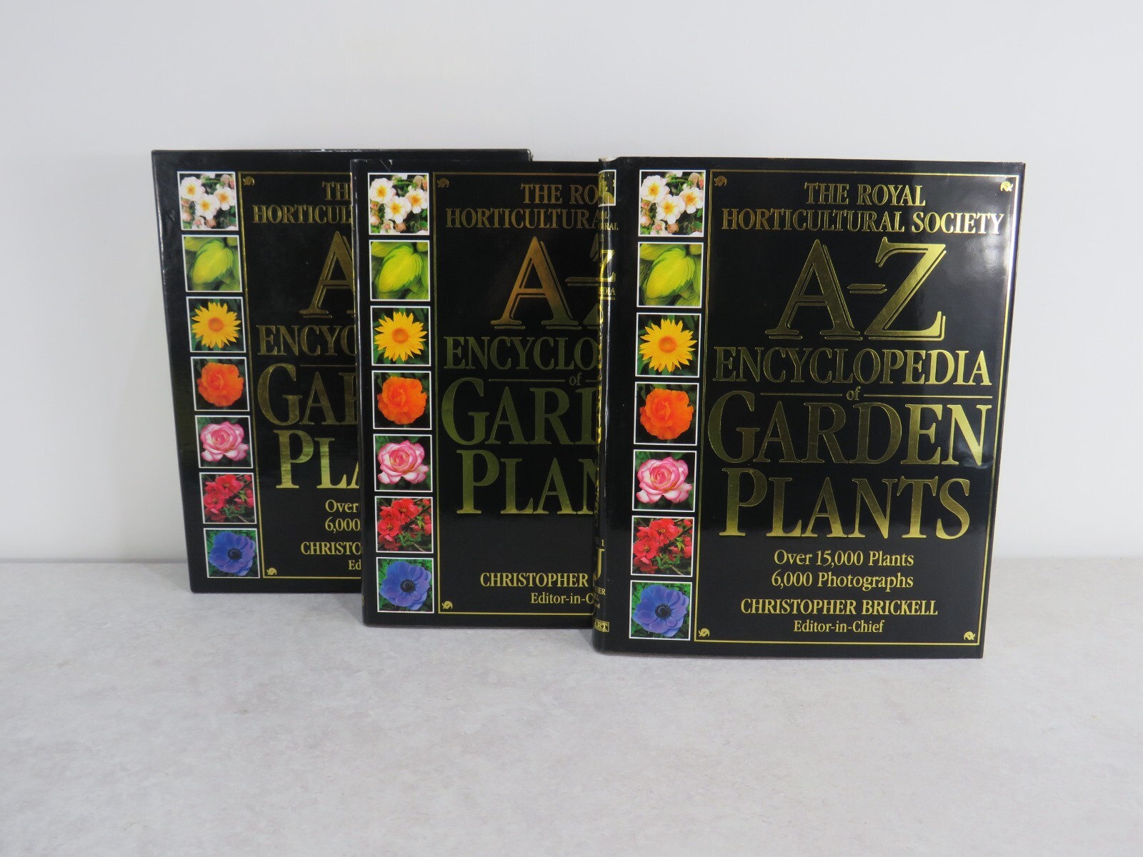 RHS A-Z Encyclopaedia of Garden Plants by Christopher Brickell (Hardcover 2003)